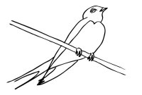 Pasari calatoare
