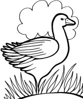 Pasari calatoare