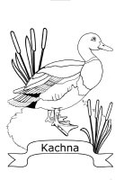 Pasari calatoare