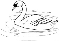 Pasari calatoare