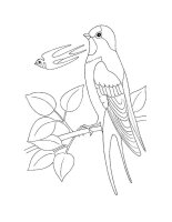Pasari calatoare