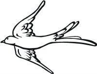 Pasari calatoare