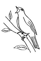 Pasari calatoare