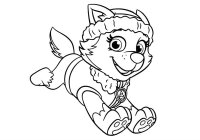 Patrula Catelusilor