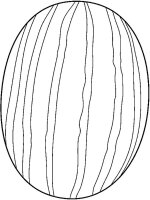 Pepene galben
