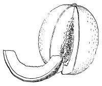 Pepene galben