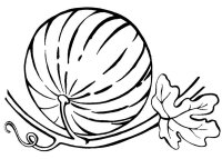 Pepene verde