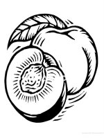Piersica