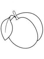 Piersica