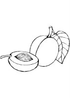 Piersica