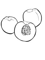 Piersica