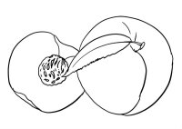 Piersica