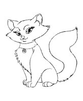 Pisica