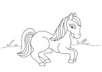 Ponei
