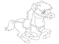 Ponei