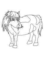 Ponei