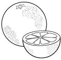 Portocala