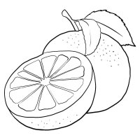 Portocala