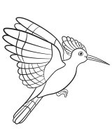 Pupaza
