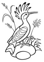 Pupaza