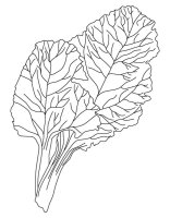 Salata verde