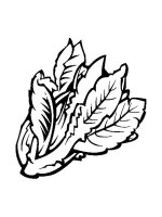 Salata verde