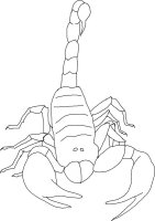 Scorpioni