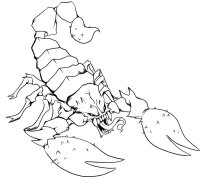 Scorpion