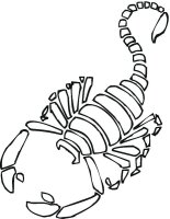 Scorpion