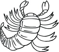 Scorpion