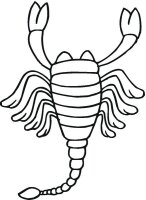 Scorpion