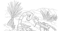 Scorpion