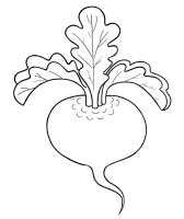 Sfecla