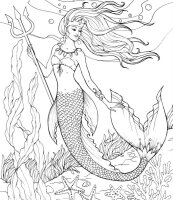 Sirena