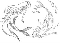 Sirena