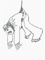 Smallfoot