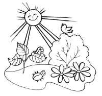 Soare