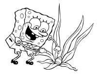Spongebob