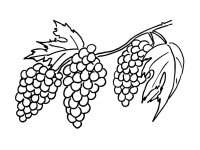 Strugure