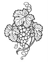 Strugure