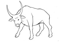 Taur