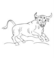 Taur