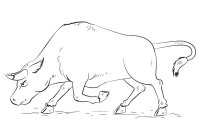 Taur