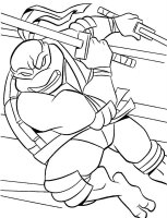 Testoasele Ninja