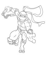 Testoasele Ninja