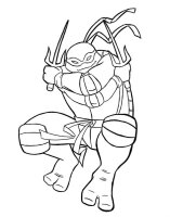 Testoasele Ninja