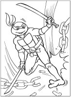 Testoasele Ninja