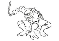 Testoasele Ninja