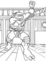 Testoasele Ninja