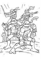 Testoasele Ninja